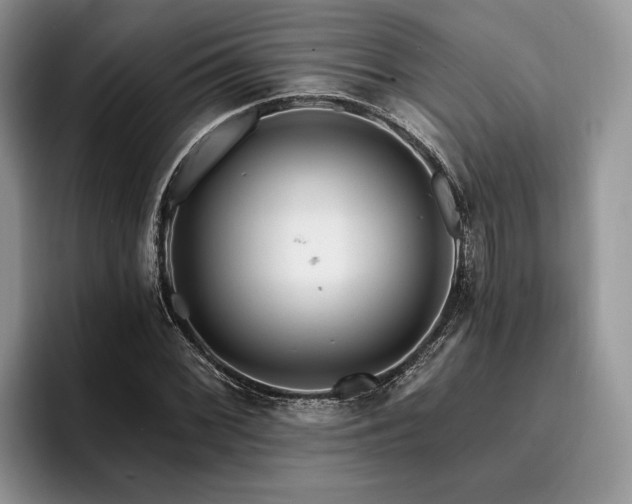 X0000096191068200801181316