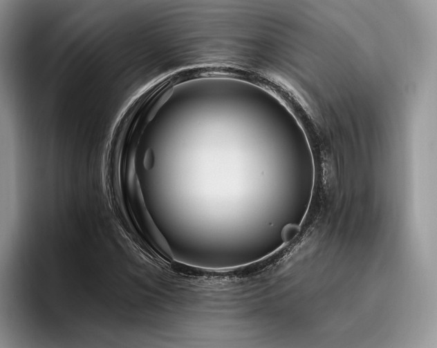 X0000096191069200801181316