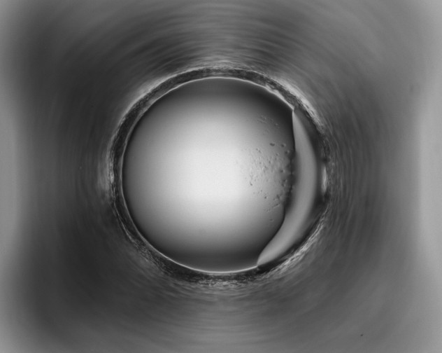 X0000096191070200801181316