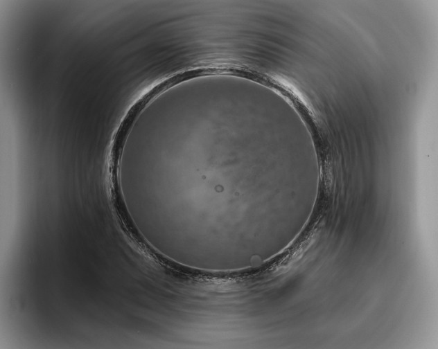 X0000096191071200801181316