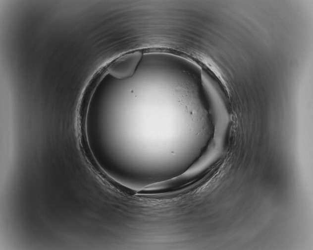 X0000096191072200801181316