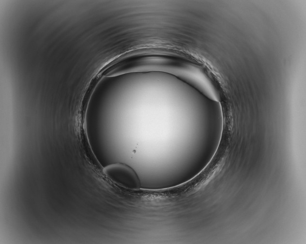 X0000096191073200801181316