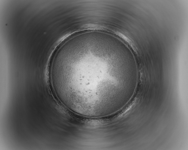 X0000096191074200801181316