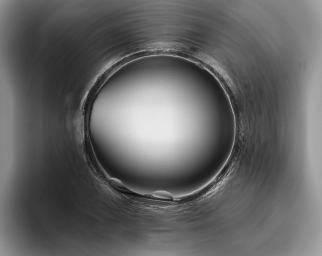 X0000096191075200801181316