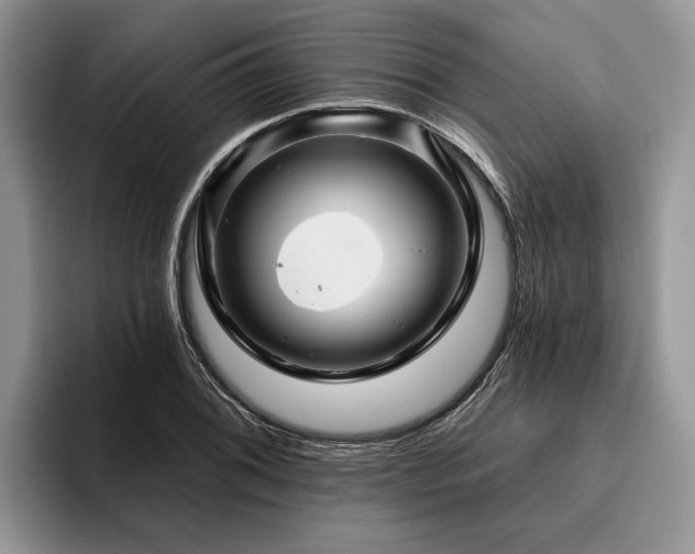 X0000096191076200801181316