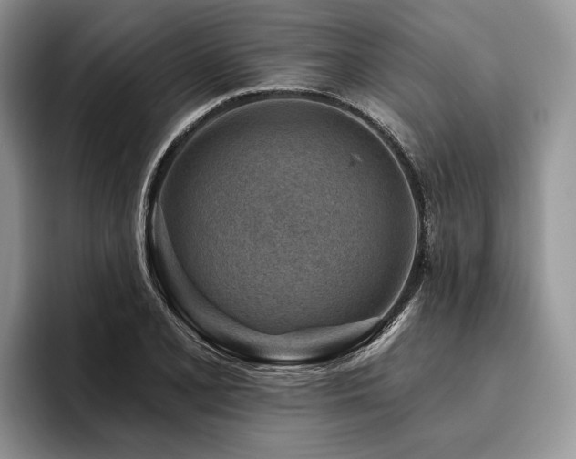 X0000096191077200801181316