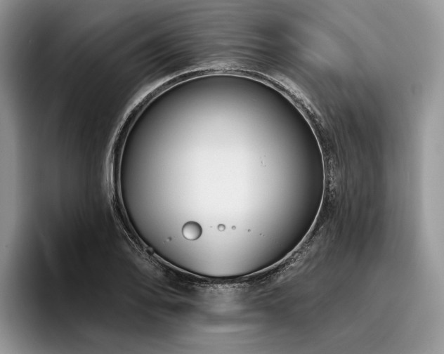 X0000096191078200801181316