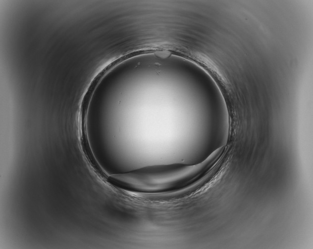 X0000096191079200801181316