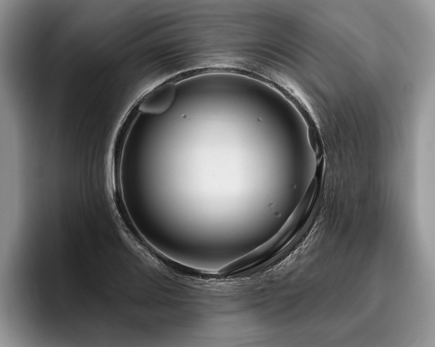 X0000096191080200801181316