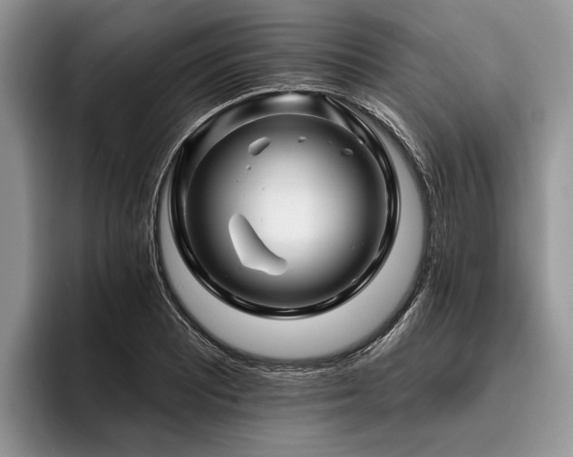 X0000096191081200801181316