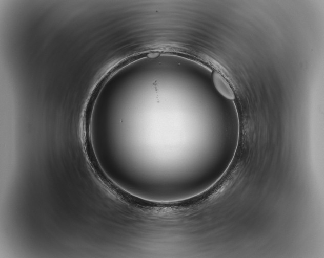 X0000096191082200801181316