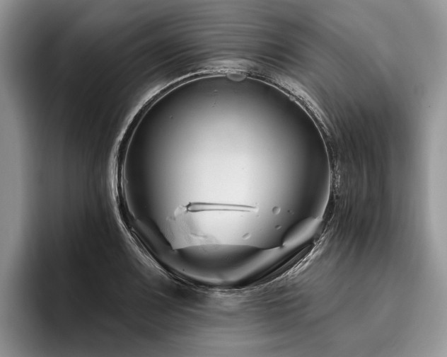 X0000096191083200801181316