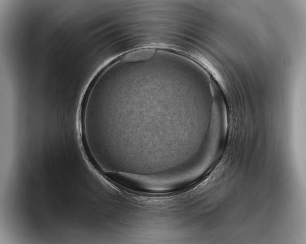 X0000096191084200801181316