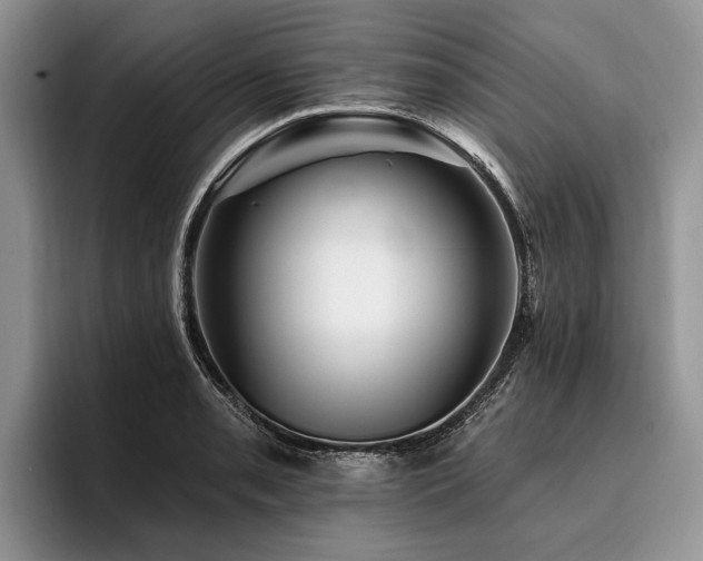 X0000096191085200801181316