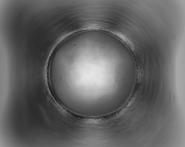 X0000096191086200801181316