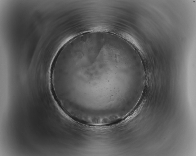 X0000096191087200801181316