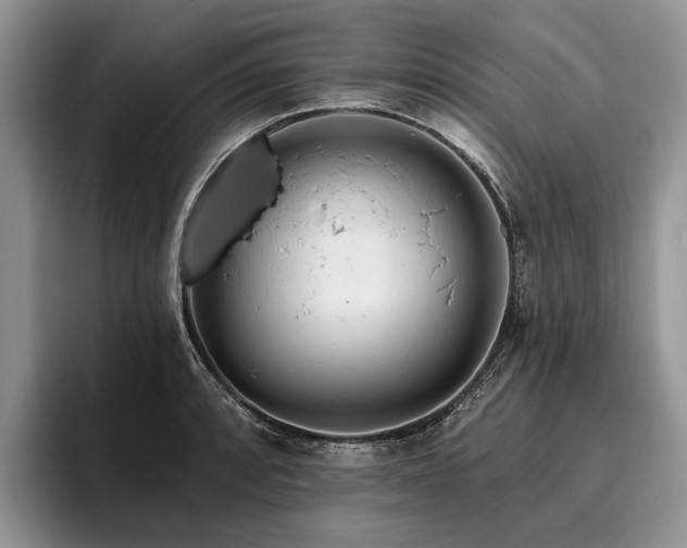 X0000096191088200801181316