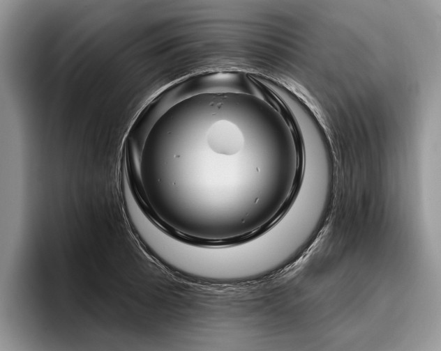 X0000096191089200801181316