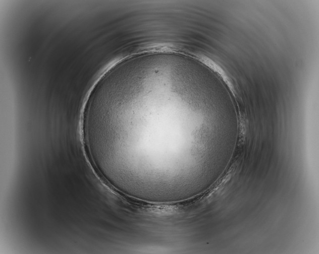 X0000096191090200801181316