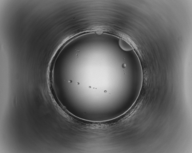 X0000096191091200801181316