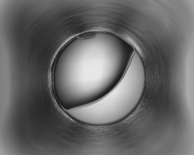 X0000096191092200801181316