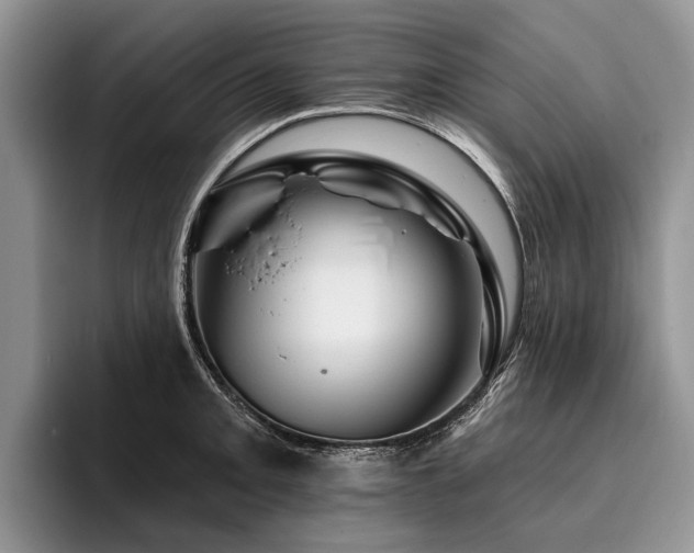 X0000096191093200801181316