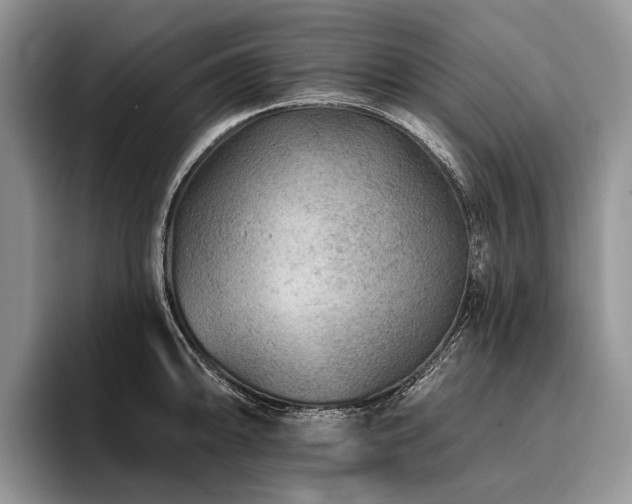 X0000096191094200801181316