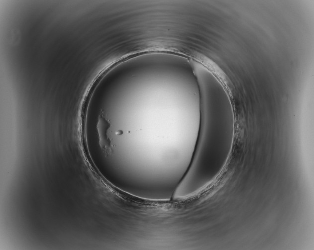 X0000096191096200801181316