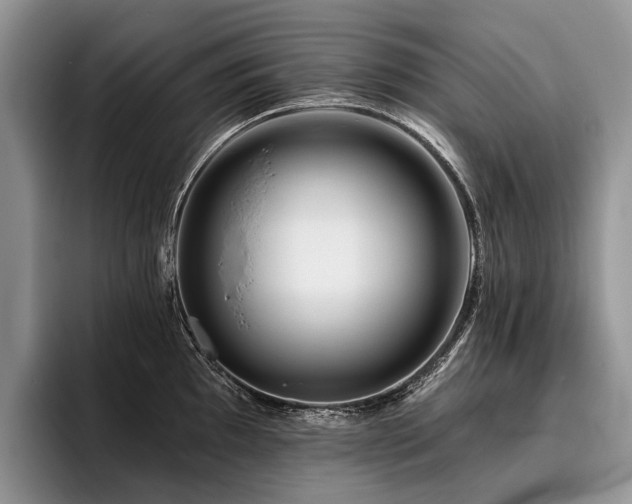X0000096191097200801181316