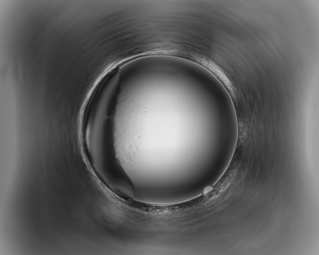 X0000096191099200801181316