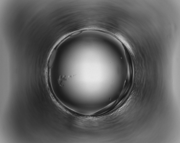 X0000096191100200801181316