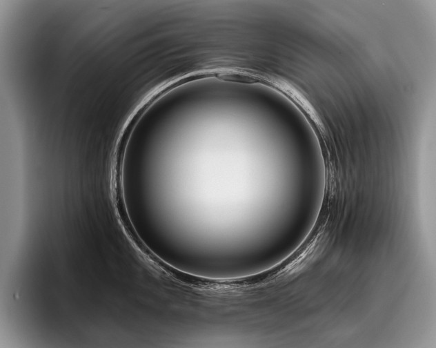 X0000096191101200801181316