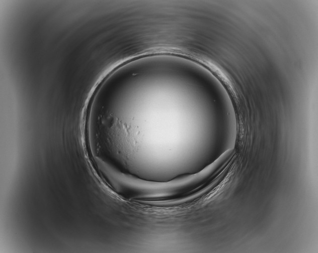 X0000096191102200801181316