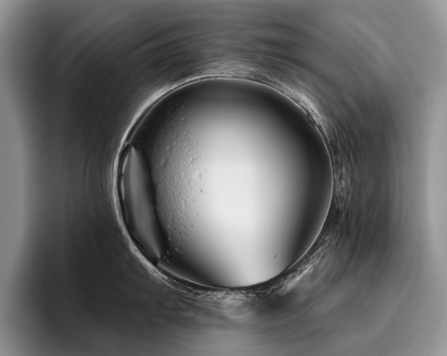 X0000096191103200801181316