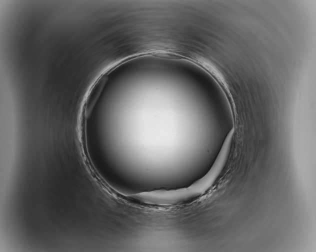 X0000096191104200801181316