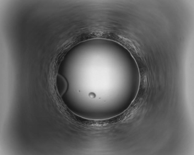 X0000096191105200801181315