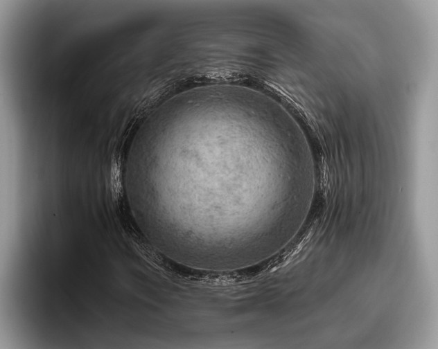 X0000096191106200801181315