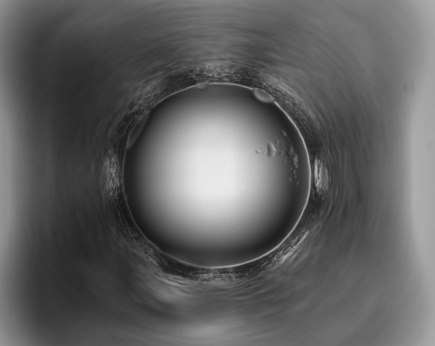 X0000096191107200801181315