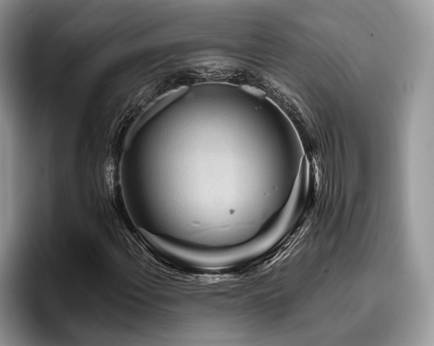 X0000096191108200801181315