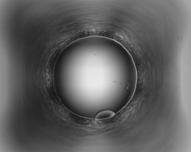 X0000096191109200801181315