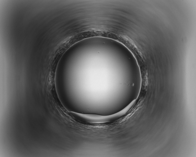X0000096191110200801181315