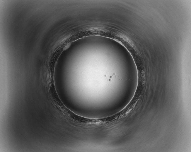 X0000096191111200801181315