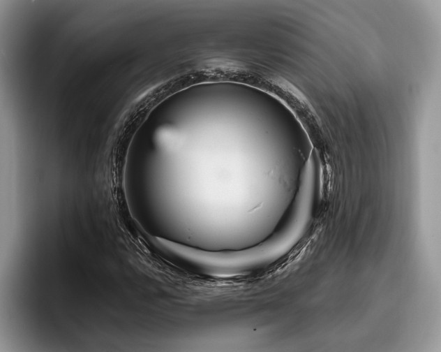 X0000096191112200801181315
