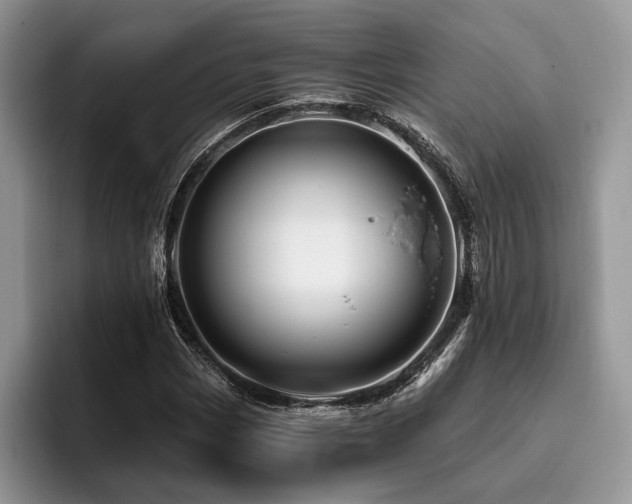 X0000096191113200801181315