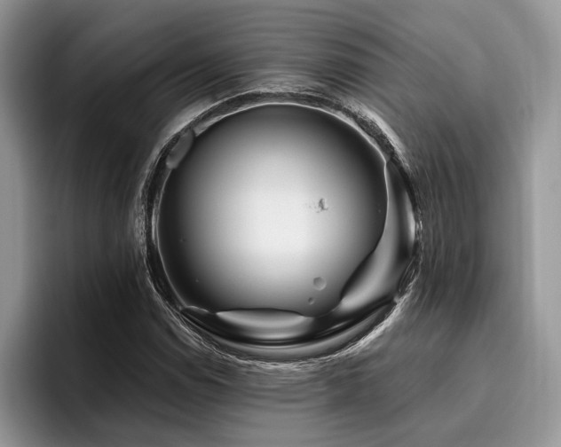 X0000096191114200801181315