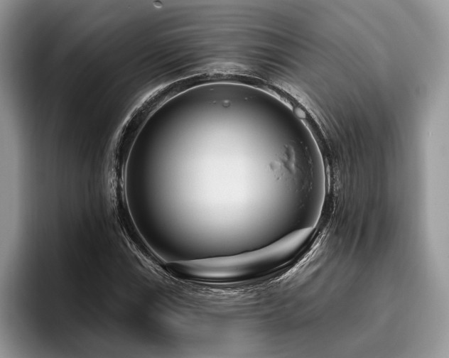 X0000096191115200801181315