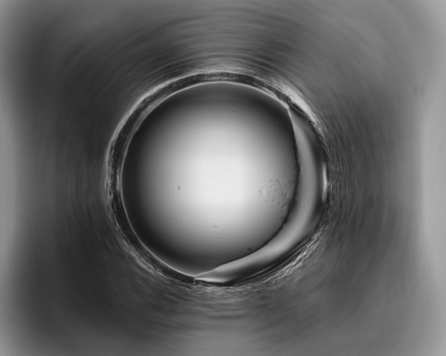 X0000096191116200801181315