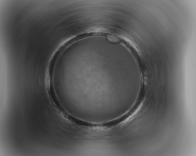 X0000096191117200801181315