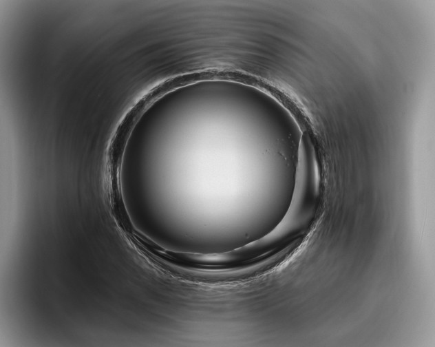 X0000096191118200801181315