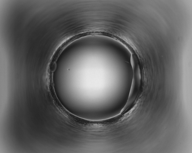 X0000096191119200801181315